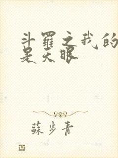 斗罗之我的武魂是天眼