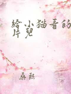 给小猫看的动画片儿