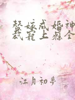 替嫁成婚神秘总裁宠上瘾全文免费阅读