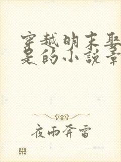 穿越明末娶柳如是的小说章节