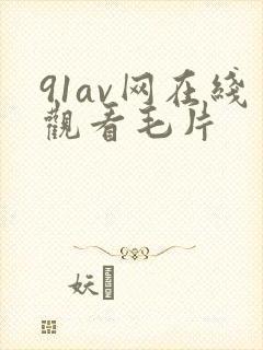 91av网在线观看毛片