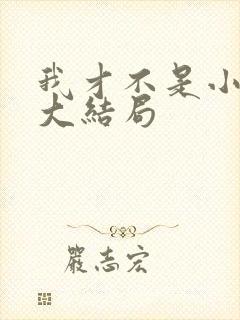 我才不是小可怜大结局