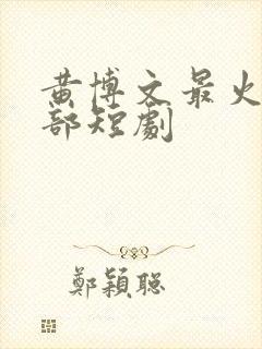 黄博文最火的十部短剧