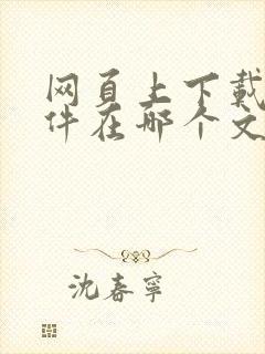 网页上下载的文件在哪个文件夹