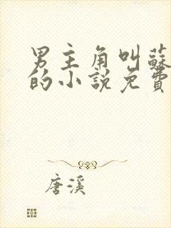 男主角叫苏榆北的小说免费阅读