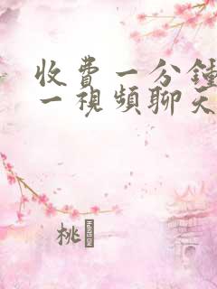 收费一分钟一对一视频聊天app