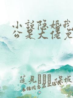 小说隐婚我的老公是大佬免费阅读