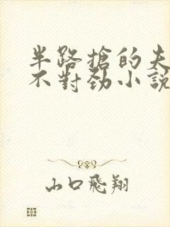 半路抢的夫君他不对劲小说免费阅读