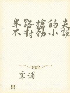 半路抢的夫君他不对劲小说免费阅读