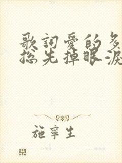 歌词爱的多的人总先掉眼泪