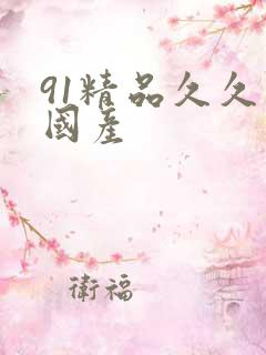 91精品久久久国产