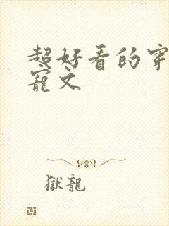 超好看的穿越甜宠文