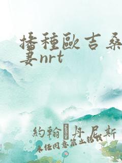 播种欧吉桑与人妻nrt