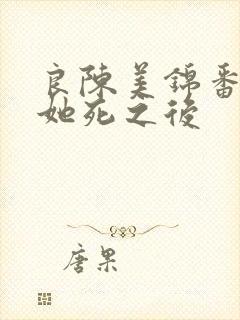 良陈美锦番外三她死之后