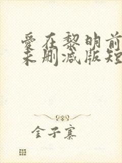 爱在黎明前升起未删减版短剧