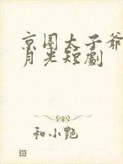 京圈太子爷的白月光短剧