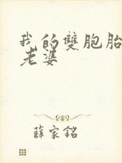 我的双胞胎美女老婆