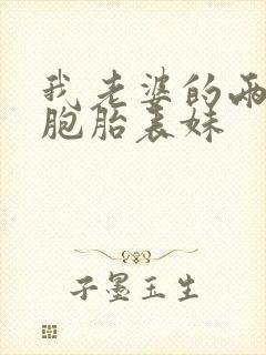 我老婆的两个双胞胎表妹