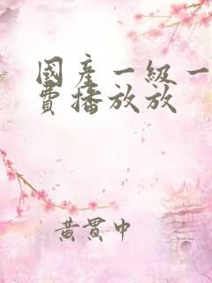 国产一级一片免费播放放