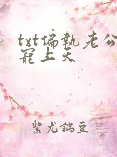 txt偏执老公宠上天