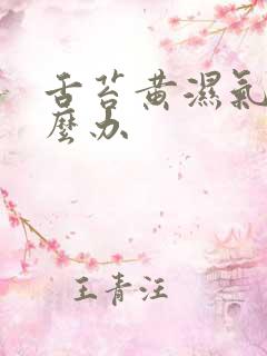 舌苔黄湿气重怎么办