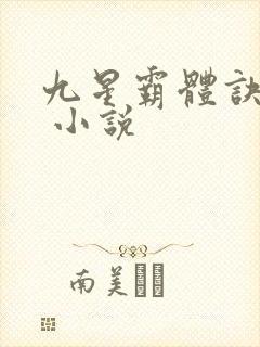 九星霸体诀龙尘 小说