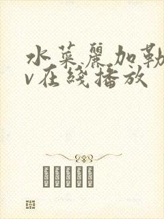 水菜丽加勒比av在线播放