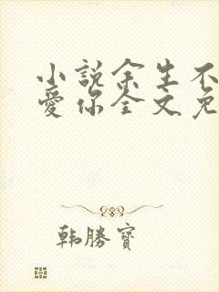 小说余生不要再爱你全文免费阅读