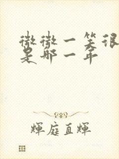 微微一笑很倾城是哪一年