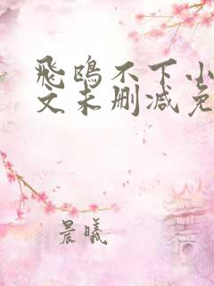 飞鸥不下小说全文未删减免费阅读