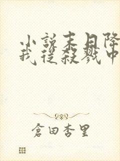 小说末日降临,我从杀戮中崛起林枫