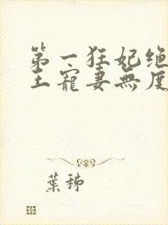 第一狂妃绝色邪王宠妻无度免费阅读