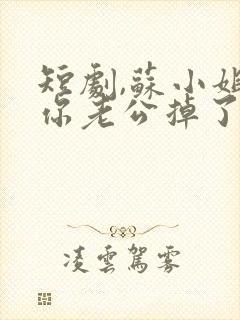 短剧,苏小姐,你老公掉了