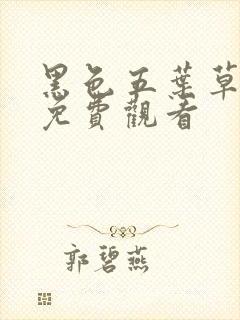 黑色五叶草在线免费观看