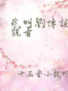 我叫刘传说在线观看