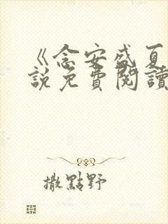 《念安盛夏》小说免费阅读