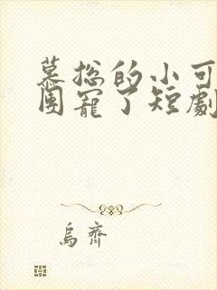 慕总的小可怜被团宠了短剧全集