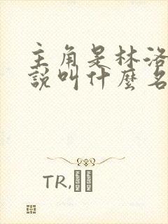 主角是林洛的小说叫什么名字