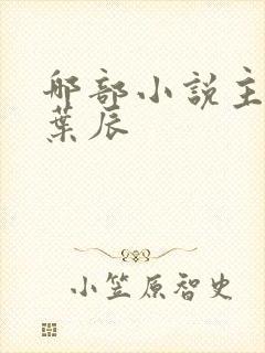 哪部小说主角叫叶辰