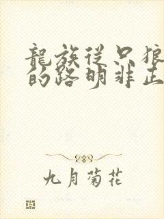 龙族从只狼归来的路明非正版阅读