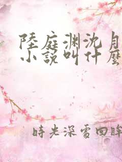 陆庭渊沈月林梦小说叫什么名字