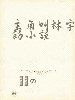 主角叫林宇都市的小说