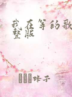 我在等的歌词完整版