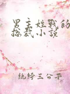 男主姓战的霸道总裁小说