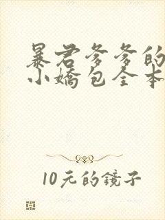 暴君爹爹的团宠小娇包全本阅读