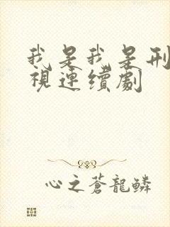 我是我是刑警电视连续剧