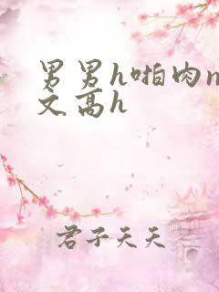 男男h啪肉np文高h