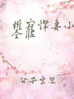 权宠悍妻小说完全版