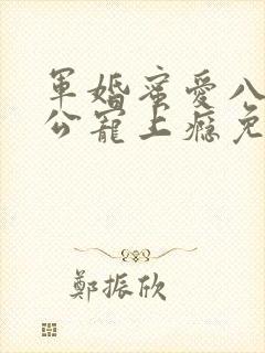 军婚蜜爱八零老公宠上瘾免费阅读