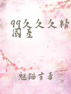 99久久久精品国产